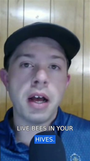 Prepare Now: Seasonal Bee Timing and Why It Matters