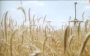 Verbotene Liebe - Запретная любовь 1989 ГДР[via torchbrowser.com]