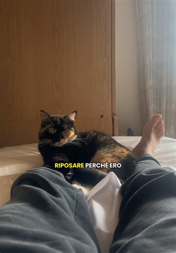 Avete passato anche voi una giornata stancante come la mia? #pov #guru #relaxing #cozy #vlog
