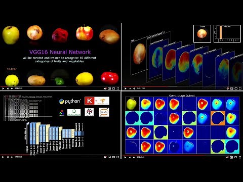 VGG16 Neural Network Visualization