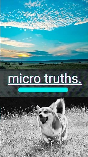 YOU'VE BEEN WRONG ABOUT DOGS 🐕