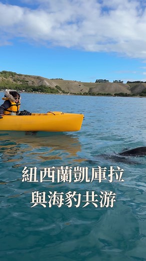 凱庫拉的獨木舟之旅與海豹生態探索