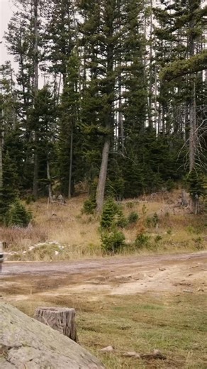 It’s our 8th anniversary, but the gift is yours. Take up to $1,979 OFF a GFC camper!! | Go Fast Campers