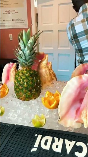 The Best of Atlantis Paradise Island: Our Top Post of 2025