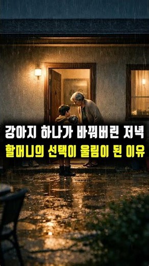 강아지 하나가 바꿔버린 저녁… 할머니의 선택이 울림이 된 이유