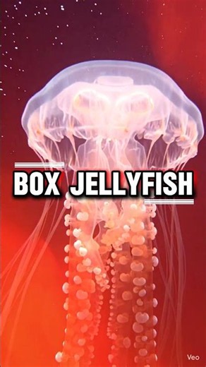 World’s Most Expensive Venoms 😱 | Deadliest Poisonous Animals | Amazing Facts