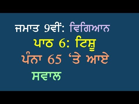 9th Science Chapter 6 Tissues Page 65 Intext Questions Panjabi Medium