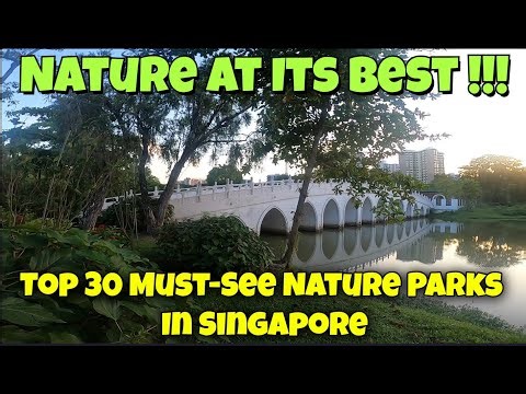 TOP 30 MUST-SEE - SINGAPORE NATURE PARKS