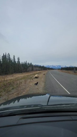 Alanna Rose on TikTok