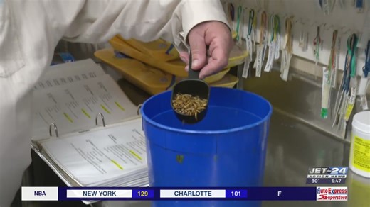 Wild Stuff: A look at how zoo chefs prepare food for hundreds of animals