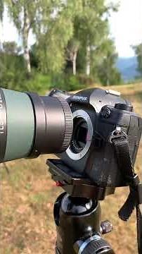 Swarovski ATX 115 + OM-1 Digiscoping Setup | TLS APO Adapter Preview #shorts