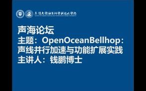 OOB并行加速及功能扩展实践