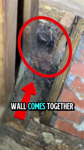 We Found HIDDEN Water DAMAGE From a GUTTER Problem!