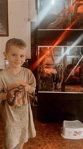 For the last two years, Hudson has been nagging to get a pet snake. The deal was that he could get one for his sixth birthday. I was secretly banking on him changing his mind or completely forgetting about the snake in that window of time. Not that I didn’t want a snake, I think they’re great, but I wasn’t confident he was old enough to be able to handle one or that he ‘really’ wanted one. So a few weeks ago when I got the message that a friend may have found the perfect snake for him and it was