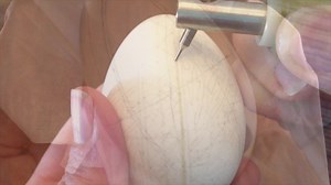 40K views · 70 reactions | What are pysanky? Pysanky are colorful, intricately decorated Ukrainian Easter eggs. Christina LaFortune with the USA TODAY Network-Florida has been practicing this art form all her life. She says according to Ukrainian legend, "As long as pysanky (Easter eggs) are being made, the world will be protected from evil." ( by Christina LaFortune, FLORIDA TODAY) | Florida Today | Facebook