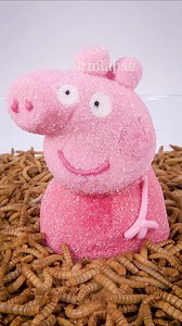 10 000 Mealworms🐛Eating Peppa Pig🍭Purple Jelly🟪in Timelapse😂 | WormLapse