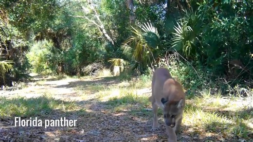 7.2K views · 251 reactions | We want those who come after us to...