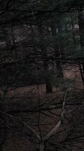 3.5K views · 34 reactions | Crazy chicken lady. I'm calling the game warden for hunter harassment.... #wifeymaterial #hunting #hunterharassment | Dustin Ligtenberg | Facebook