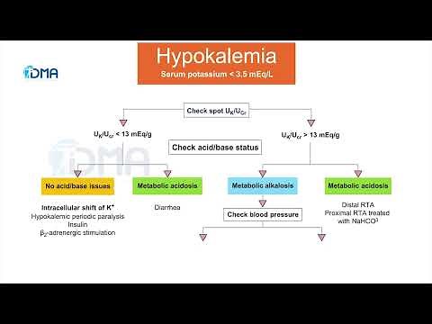 Hypokalemia | Diagnostic approach | differential algorithm | CMDT 2022 | Medical Updates | DMA