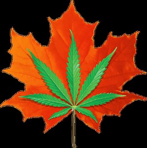 SHOP ONLINE - Northeast Kingdom Hemp