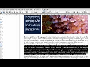 Curso Intensivo de Indesign orientado a artes gráficas (Unidad 1)