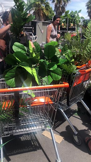 Mitre 10 Mega Botany Car Park garage clearance sale . | Radio Apna 990am & Apna Television NZ