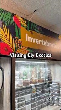 Visiting Ely Exotics! This has got to be my new fave exotics store #reptiles #tarantula #exoticpets