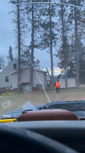 Northen tree service | Eddy Ellis