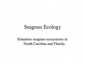 Seagrass Ecology - SlideServe