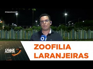 Polícia investiga caso de zoofilia envolvendo uma mulher e um cachorro em Laranjeiras - CA
