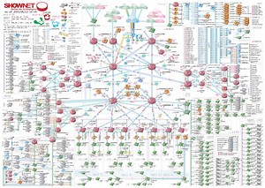 ShowNet2023 Topology