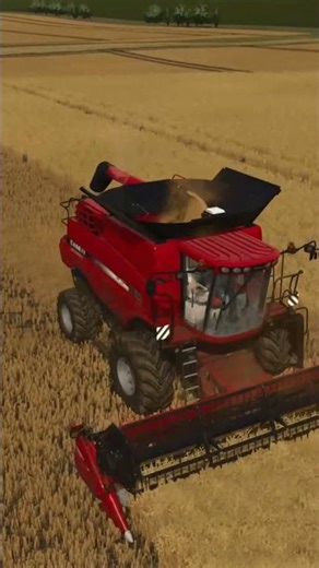 Case IH 5088 harvesting I Farming simulátor 25 I #farming