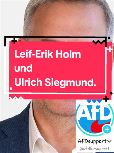 Leif-Erik Holm AfD-Chef von Mecklenburg-Vorpommern und Ulrich Siegmund AfD-Chef von Sachsen-Anhalt. Beide müssen in ihren Bundesländern Ministerpräsident werden. @Ulrich Siegmund @Leif-Erik Holm MdB