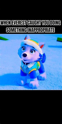 Caught By Everest! (PAW Patrol short edit)