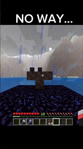 Minecraft players BEAT the Wither?