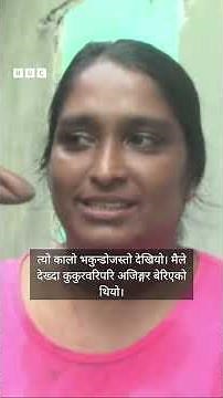 Python swallos dog: श्रीलङ्कामा अजिङ्गरले खोरभित्रको कुकुर निल्यो... अनि ओकल्यो - BBC Nepali Sewa