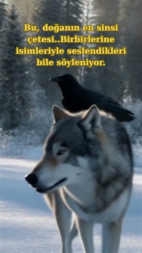 Avın Şok Edici Sırrı Ortaya Çıkıyor!