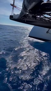 9.2K views · 209 reactions | Fast sailing on the Gunboat 72. Welcome...