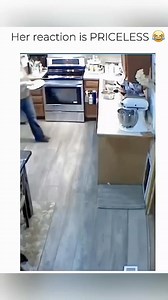 10M views · 83K reactions | Funny animals  #pet #cat #dog #cute #animals #foryou #typ | Pets Show | Facebook