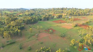 This is beautiful Oromia, #Ethiopia’s abundance! Just a short 10 km drive from Nekemte, Cancho Lake is where nature hugs you and the local community welcomes you with open arms. No filters here. Just the purest air, clear crystal waters, and views that stay with your heart long after you leave. 📌 Cancho Lake #visitOromia #Ethiopia #Oromia #travel #OromiaTourism #WesternRoute | Visit Oromia