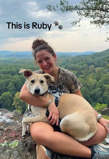 Meet Ruby, my sweet, playful, silly puppy. She is very loved! Follow to see her cute and funny moments! 😊❤️ #dog #fyp #dogsoftiktok #fypシ゚viral #lab