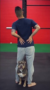 How to SELF MASSAGE your Lower Back