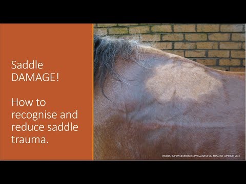 Saddle DAMAGE! How to recognise and reduce saddle trauma.