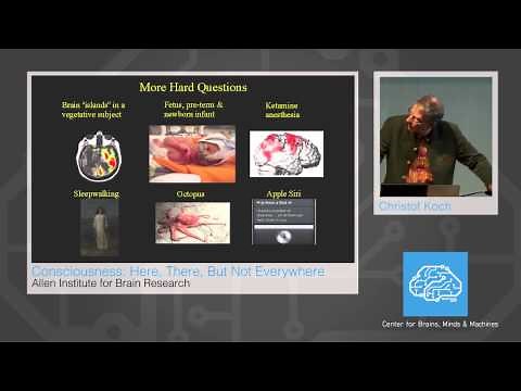 The Integrated Information Theory of Consciousness