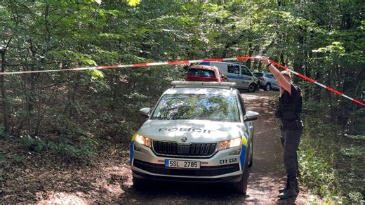 V lese u Hořovic našli pobodaného muže, policie uzavřela široké okolí - Novinky