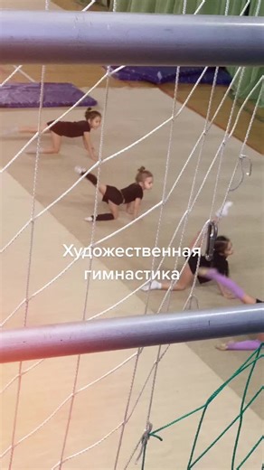 Young Female Gymnasts Showcase Skills in Training