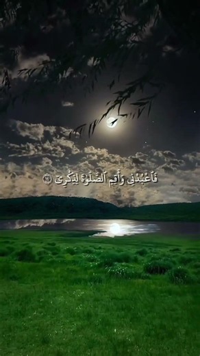 ﴿وَأَنَا اخْتَرْتُكَ فَاسْتَمِعْ لِمَا يُوحَى﴾ | سورة طه | تلاوة أحمد خضر 🤍