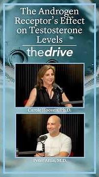The Androgen Receptor’s Effect on Testosterone Levels | Carole Hooven, Ph.D.