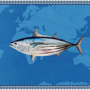 22K views · 187 reactions | It’s never got to be a battle between...