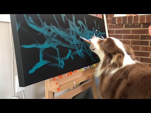TALENTED PAINTING DOG (Animal With Insane Talents!)